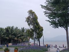 -深圳湾公园(南山区)