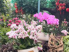 -郑州中国绿化博览园