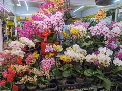 -三旗百汇商品城