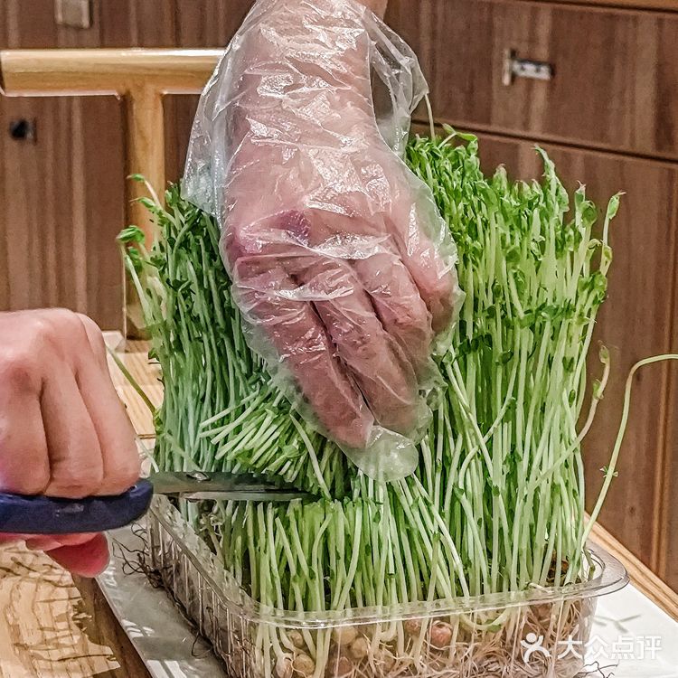 猪肚鸡烫野菜！汤底都被男朋友喝光了！