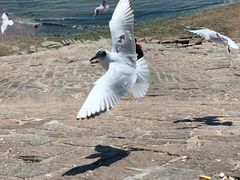 -老味道民宿(栈桥店)