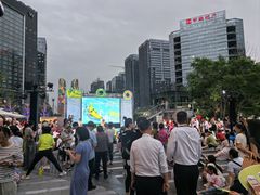 -合景·悠方(成都店)