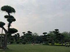 -南宁南湖公园