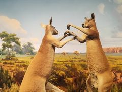 -陕西自然博物馆