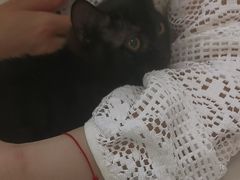 -美联众合24小时·皮肤科·外科·全科诊疗中心(华苑分院)