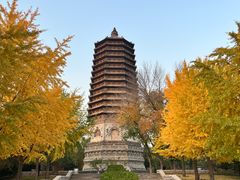-玲珑塔公园