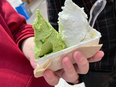 -野人先生现做冰淇淋(西安赛格店)