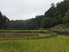 -韶山毛泽东同志故居