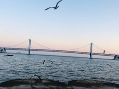 -星海湾跨海大桥