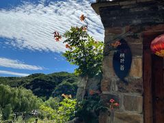 -幽岚山·童话森林
