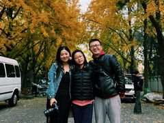-三里屯东五街银杏大道
