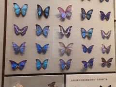 -天津自然博物馆