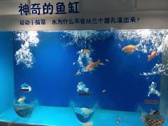 -苏州海洋馆
