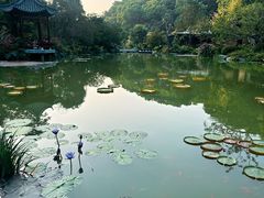 -云溪植物园