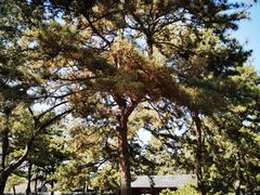 -承德避暑山庄景区