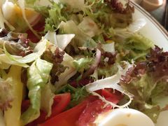 有机蔬菜沙拉-广州建国酒店·涟日本料理