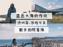 -涉地可支