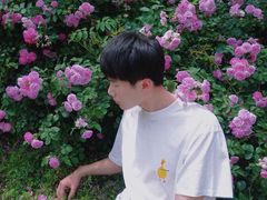 -天鹅湖体育公园