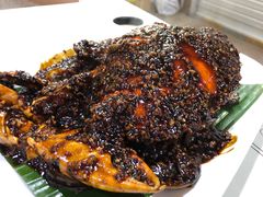 -纽顿熟食中心