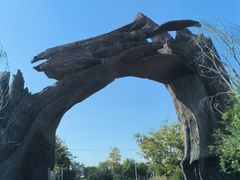 -广富林郊野公园