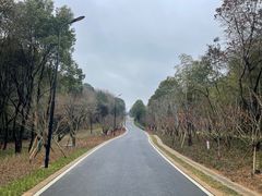 -南北湖风景区