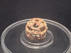 -鸿山遗址博物馆