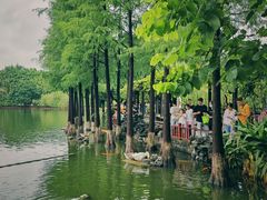 -东莞市可园博物馆