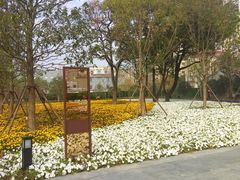 -上海市龙华烈士陵园