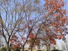 -南京枫彩漫城