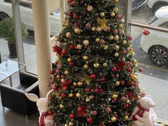 -上海德星奔驰(江杨南路店)