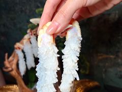 -蟹犇•帝王蟹雪蟹(陆家嘴店)