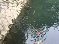 -金穗园温泉酒店