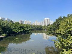 -荔枝公园(福田区)