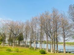 -长广溪湿地公园