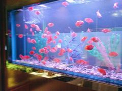 -九洲喜来登酒店湖月日餐厅