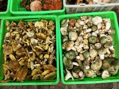 -佳缘野生菌食府