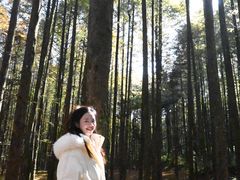 -山王坪喀斯特国家生态公园