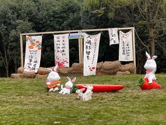 -白塔湖国家湿地公园
