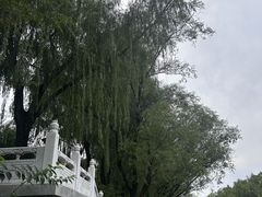 -南长河公园