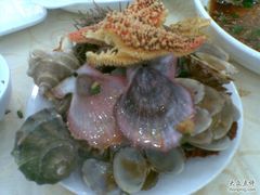 辉煌的战绩-海岛渔村大酒店(云霄路店)