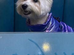 -My Way Town买味堂·东南亚餐厅(亦庄店)