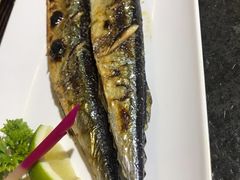 盐烤秋刀鱼-将太无二·北美传奇寿司(瑞士公寓店)