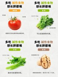 -Fundi张玉珊修身堂·indiba·BTL科技瘦身