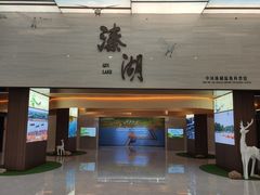 -溱湖国家湿地公园