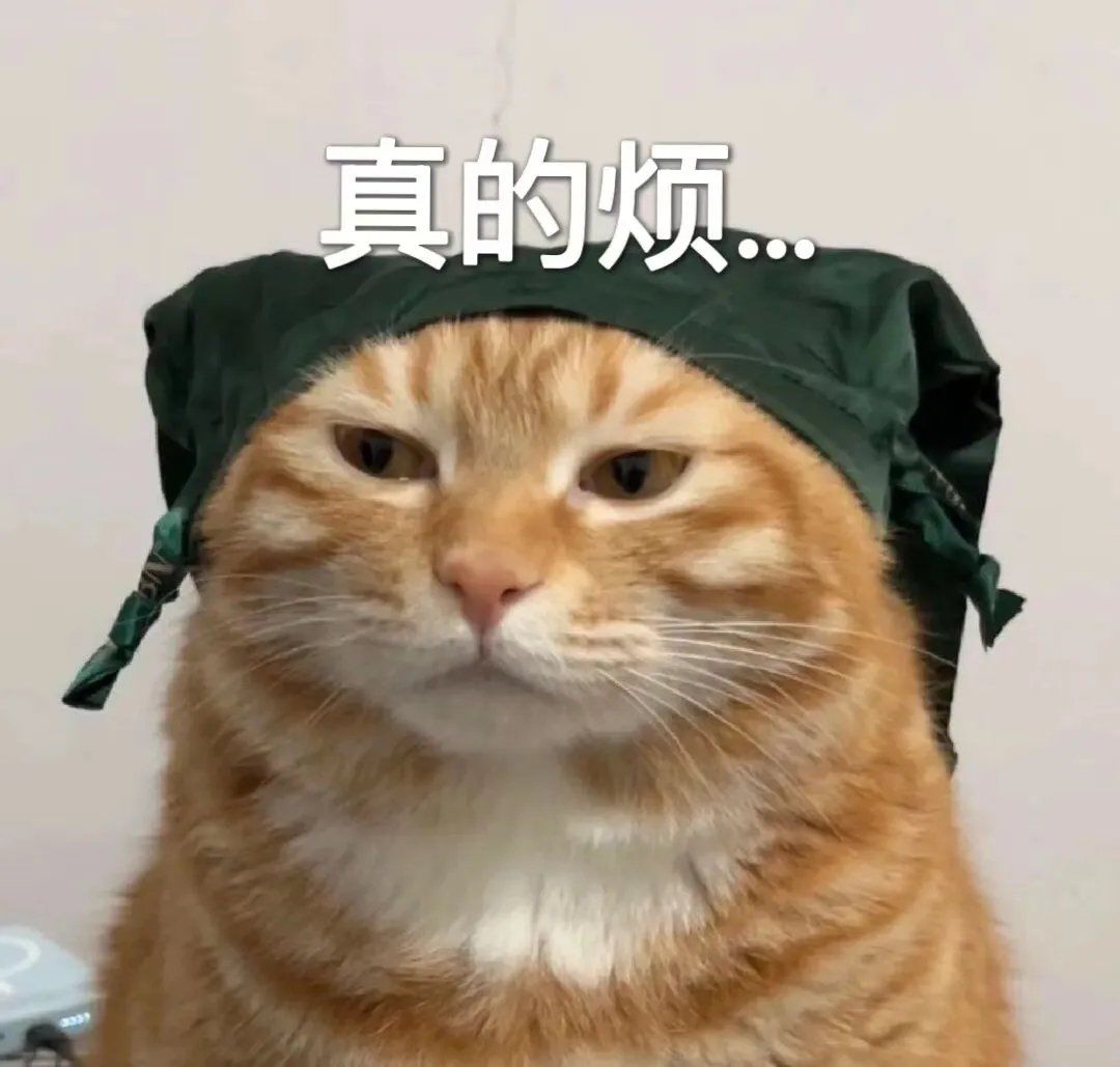 猫咪表情包大放送
