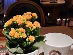 -Mezomd曼索蒂西班牙餐厅(广粤店)