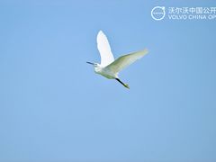 -颖奕安亭高尔夫俱乐部