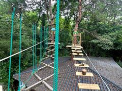 -芦仙山景区-飞越丛林探险乐园