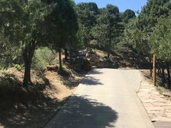 -塞罕坝国家级自然保护区