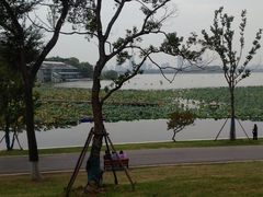 -紫金山山顶公园
